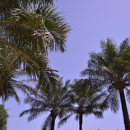 Les Maisons De Marco Senegal - B&B Cap Skirring Luaran gambar