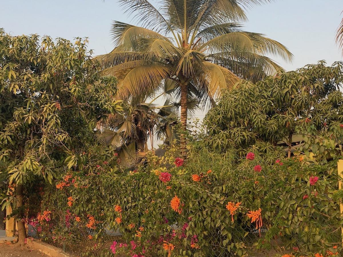 Les Maisons De Marco Senegal - B&B Cap Skirring Luaran gambar