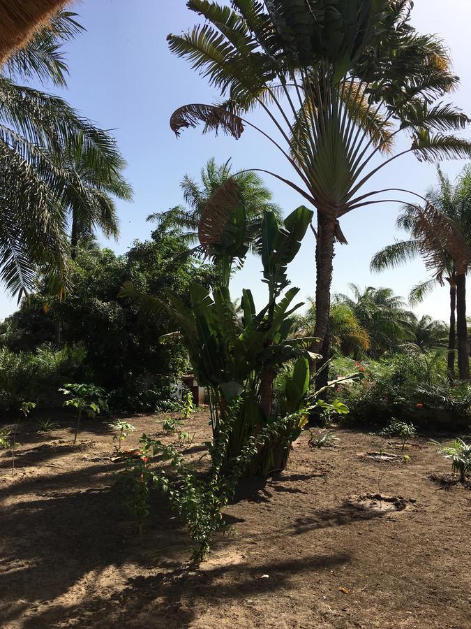 Les Maisons De Marco Senegal - B&B Cap Skirring Luaran gambar