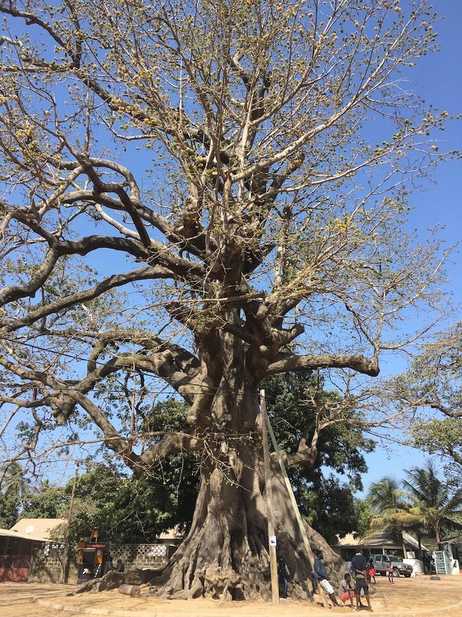 Les Maisons De Marco Senegal - B&B Cap Skirring Luaran gambar