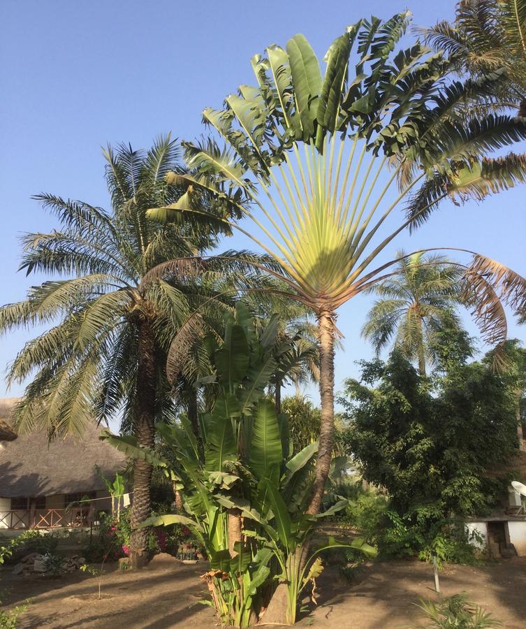 Les Maisons De Marco Senegal - B&B Cap Skirring Luaran gambar