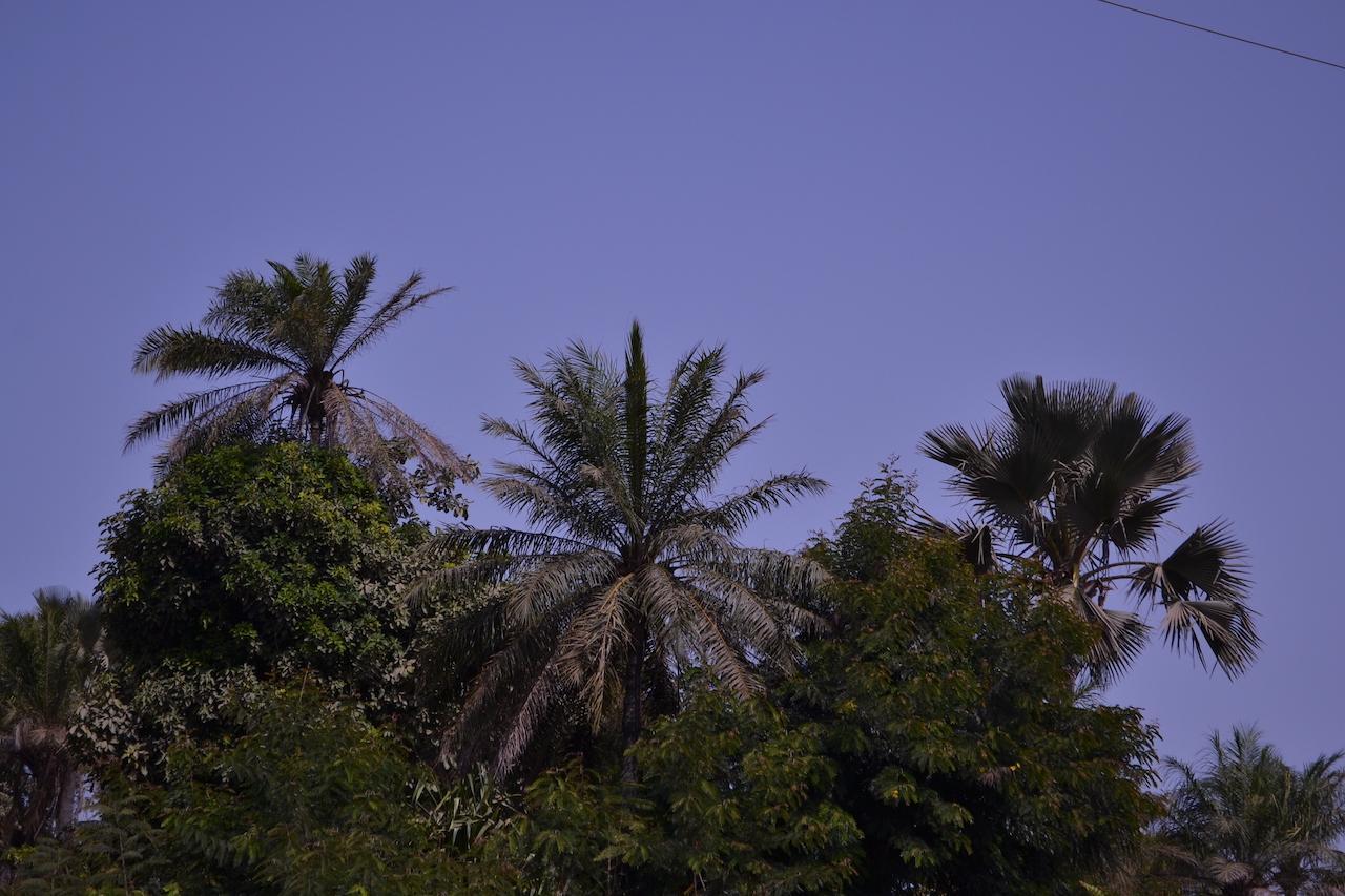 Les Maisons De Marco Senegal - B&B Cap Skirring Luaran gambar