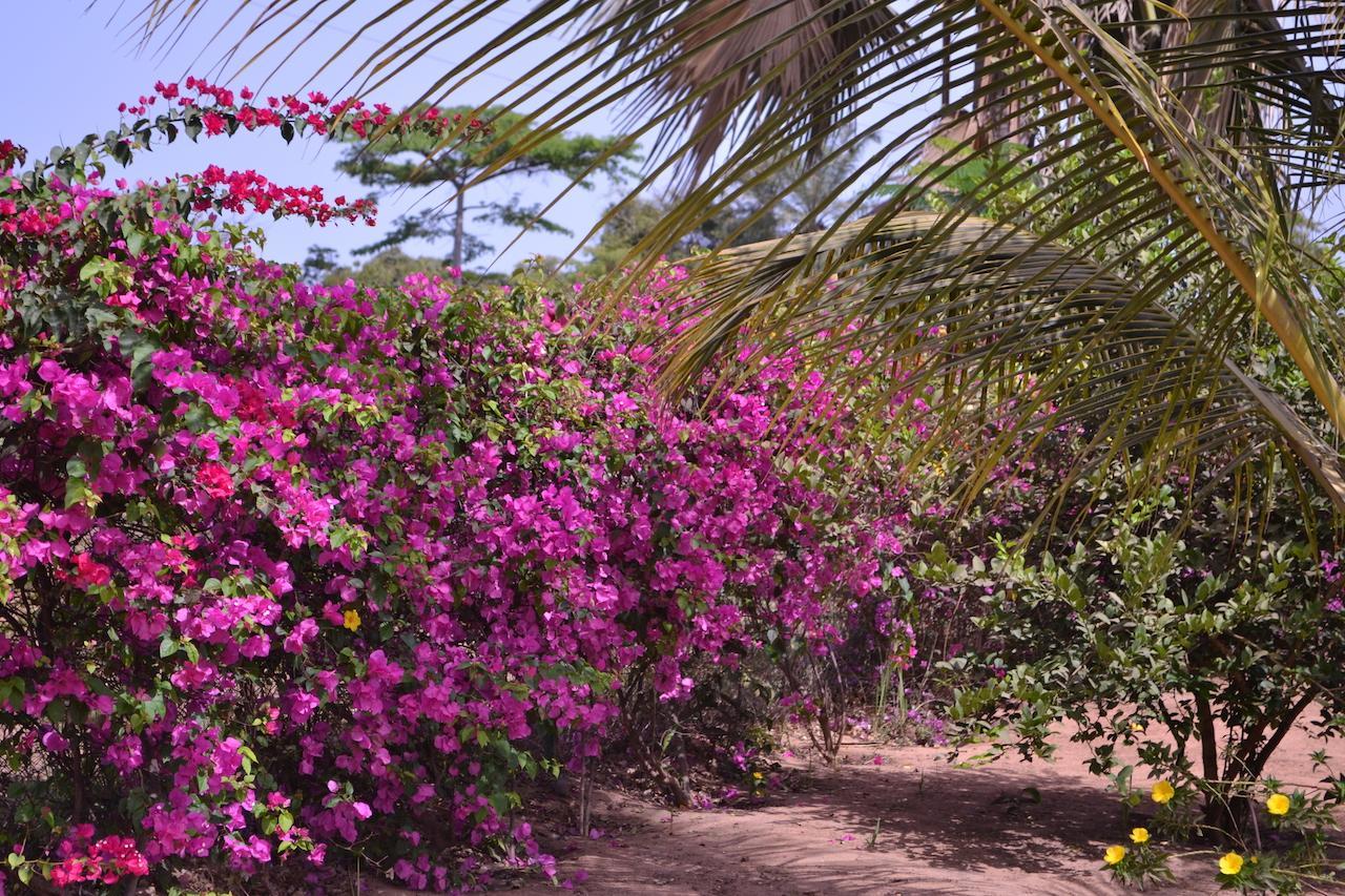 Les Maisons De Marco Senegal - B&B Cap Skirring Luaran gambar