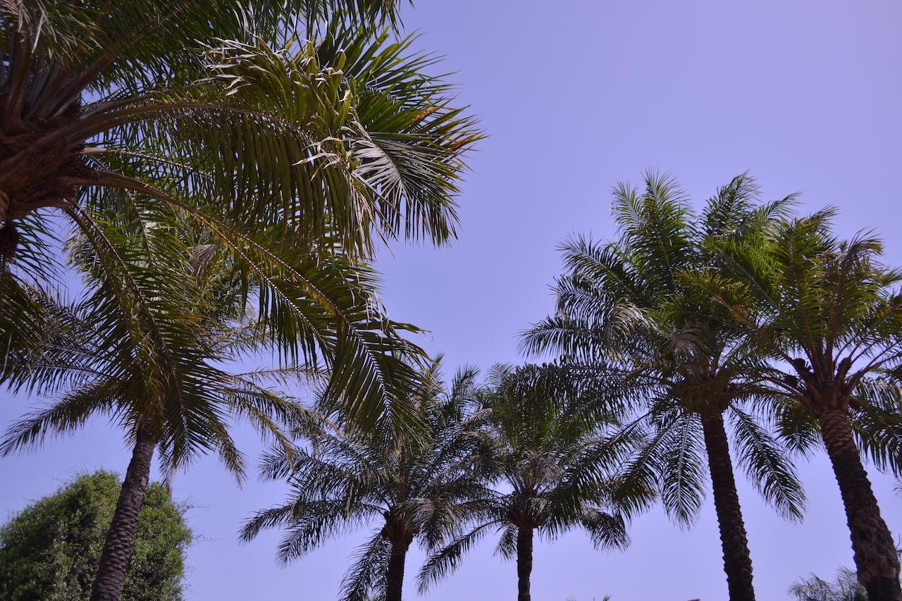 Les Maisons De Marco Senegal - B&B Cap Skirring Luaran gambar